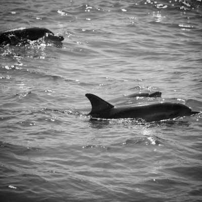 Egypt - Orange Bay - Let’s Celebrate Christmas & New Year Eve in Egypt: 8 Days Trip Discovering Hurghada, Luxor & Cairo - 2