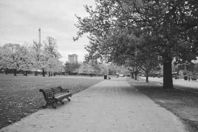 Vereinigtes Königreich - Hyde Park - A Weekend  Getaway in London: Paddington Bear Movie - 2