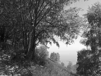 Italy - San Michele - Trekking througth Gardone Riviera town in North Italy 📍  beautiful lakeside setting and picturesque villages 🏞️ - 2