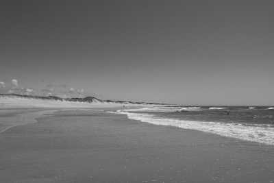 Southern Europe - Quinta da Quinhas - A Slow and Soulful Walk on the Portuguese Coastal Camino - 4