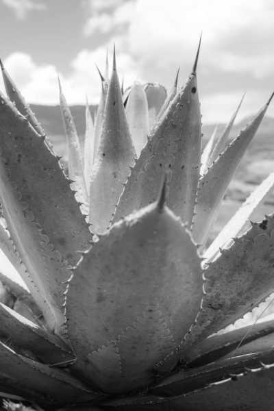 Mexiko - Santiago Matatlan - All Inclusive Oaxaca, Mexico Culture & Cuisine Retreat 🌵🌮 - 4