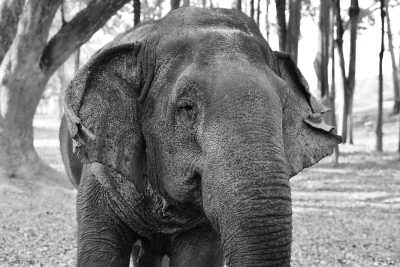 Thailand - Somboon Legacy Foundation - Backpacking Thailand: Explore the Duality of Bangkok and the Idyllic Islands of Ko Pha Ngan and Ko Samui - 4