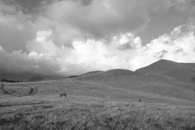 Romania - Sibiel - Outdoor Adventure in Romania with Horses - 3