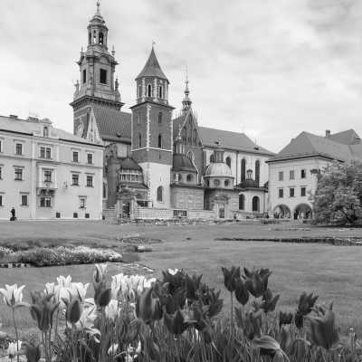 Poland - Kraków - Discover the Beauty of Southern Poland: Budget-Friendly Experience - Krakow, Wieliczka Salt Mines, Tatras, and More! - 13