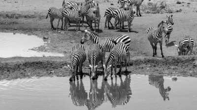 Kenya - The Best time to visit Kenya is here! - JoinMyTrip