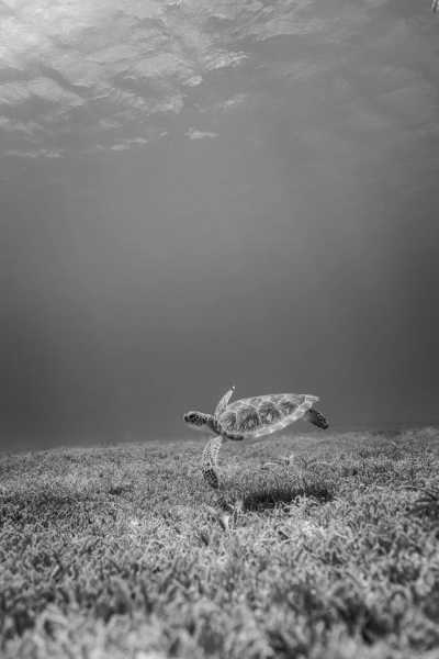 Peru - Máncora - Surfing in Paradise 🏄🏽‍♀️☀️ Sandy Beaches, Palm Trees & Pisco Sours in Máncora, Peru - 9