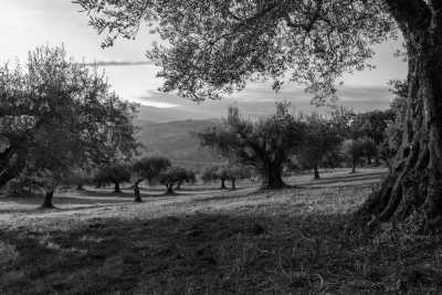 Portugal - Alvorge - 🌊 The Hidden Gems of Central Portugal 🌿