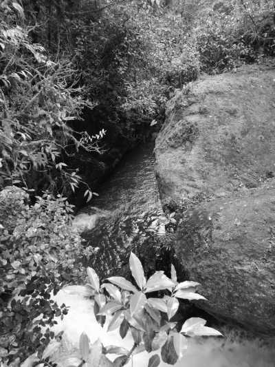 Costa Rica - San Gerardo de Dota - Best Beaches and Mountains of Costa Rica with a Local!! - 3