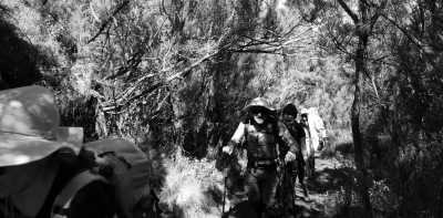 Tanzania - Shira Camp One - Climbing Mount Kilimanjaro via Machame route for 8 days in Tanzania