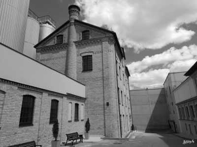 Europe - Lida - Exclusive Small-Group Tour of Belarus: Live like a Local, Dive into Culture, Connect with Nature and Indulge in Home-Made National Cuisine - 4