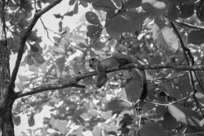 Costa Rica - Costa Rica with Lourene Gollatz - JoinMyTrip