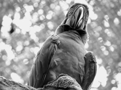 Peru - Amazonas - Ayahuasca in the Peruvian Amazon / The Dunes Peruvian Oasis - Let's Explore the Jungle & Connect with Nature! - 4