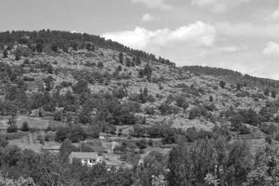 Portugal - Montesinho Natural Park - Discovering the Beauty of Montesinho's Natural Park & Bragança's Medieval Citadel with a Local Guide - 8