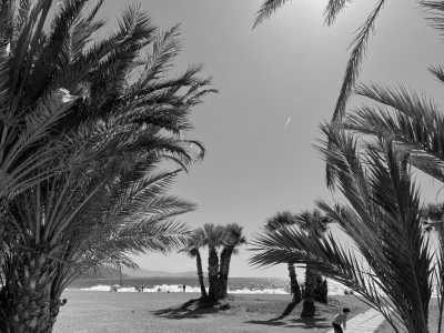 Spain - Workation und oder Vacation am Meer in Co-Living WG mit anderen Reisenden - JoinMyTrip