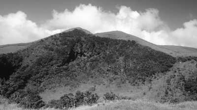 Portugal - Pico Island - Azores - meet biggest whales & wild dolphins in their natural habitat  🐋 - 5