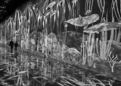 Japan - teamLab Planets TOKYO DMM - 🇯🇵Japan Trip To The Future :Food, Culture, Snow & Wildlife - 3