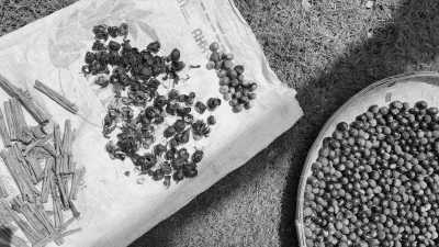 Indonesia - Banda Island - Secluded Spice Island Adventure in Banda Naira, Indonesia: Hike an Active Volcano, Swim in the Sea, and Immerse in Cultural Exploration - 4