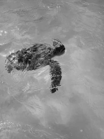 Bahamas - Exuma - Wellness Retreat in Exuma, Bahamas: Yoga, Boat Excursions, and Meditation! - 1