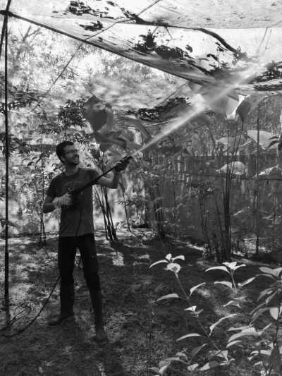 Costa Rica - La Gamba centro - Coworking or Volunteering from/in Costa Rica - 21