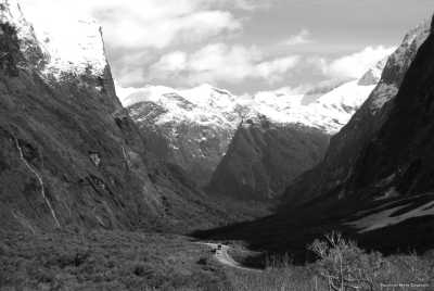 Neuseeland - Milford Sound / Piopiotahi - 🌋 Explore New Zealand: Scenic Wonders Road Trip Adventure! - 3