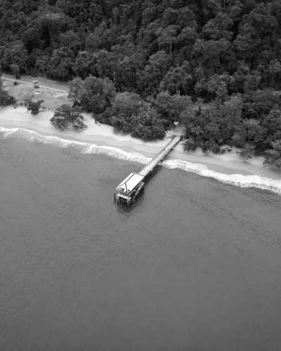 Malaysia - Pulau Pangkor - Celebrate the Authentic Soul of Malaysia: Dive into the Heart of Kampung Style Living! 🌿🏡 - 1