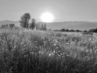 Kyrgyzstan - Chon-Kemin - Bergbegeistert durch Kirgistan - Natur und Kultur erleben! - 2