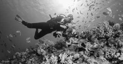 Vietnam - Nha Trang - Island Hopping Bliss in Vietnam: Nha Trang Uncovered in 4 Days (shared room) - 4