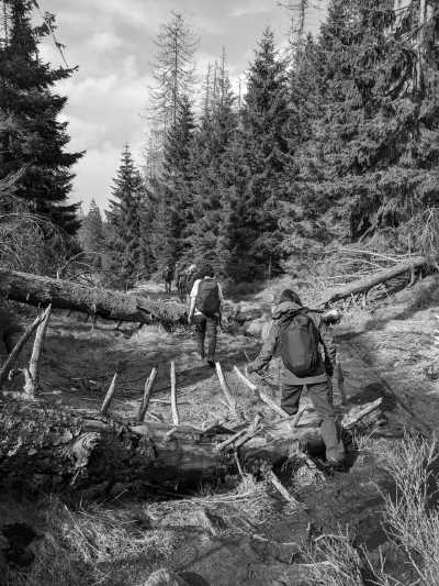 Germany - Brocken - Wanderzeit im Harz mit Brocken-Tour, Deutschland - 4