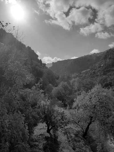 Libanon - Tannourine Cedar Reserve - Lebanon - 3 Days Mountain retreat: Hikes and more! - 2