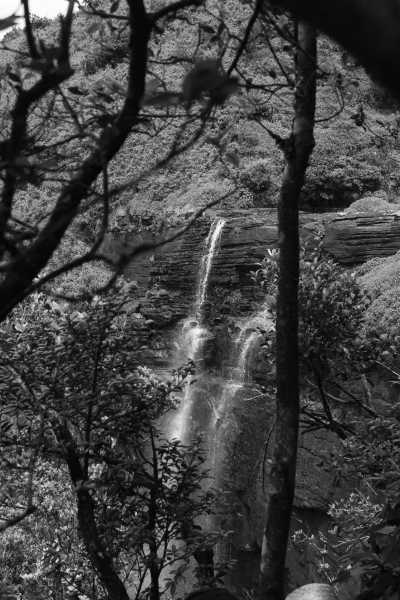 Sri Lanka - Thangappuwa - Exploring Knuckles: Hiking the Hidden Gem of Sri Lanka - 10