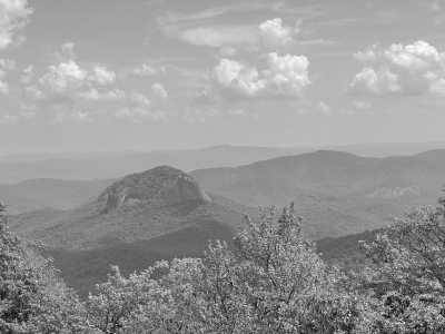United States - Pisgah Forest - USA Road Trip - Spring Rhododendrons in Blue Ridge parkway and Great Smoky Mountains, tunnels and waterfalls! - 3