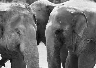 South-eastern Asia - Chiang Mai - 3-week journey: Thailand, Laos, & Cambodia - 1