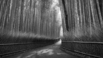 Japan - Kyoto - Amazing 10-Days in Japan - Celebrate Christmas and New Years Eve with me! - 2