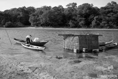 Brazil - Resex Tapajós arapiuns - Amazon Expedition: 14-day Immersion in Nature and the Riverside Communities of the Amazon. - 1