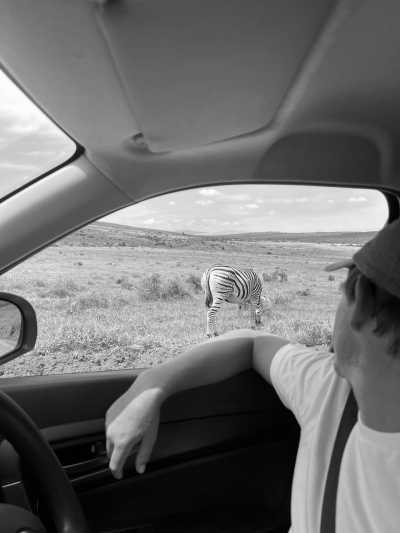 Südafrika - Addo Elephant National Park - Bucket List Camp South Africa ~ Monique  - 3