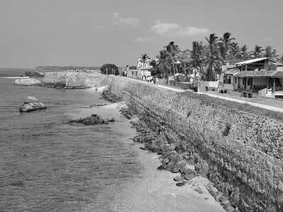 Sri Lanka - Galle - A Tropical Paradise Unveiled: A Breathtaking Sri Lankan Beach Adventure - 1