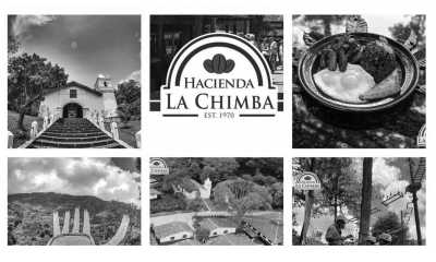 Costa Rica - Punta Leona - Majestic Adventures in Costa Rica: Beaches, Volcanoes, Hot Springs, Cloud Forest, and Pura Vida Lifestyle! - 15