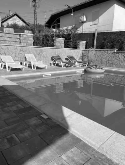 Serbien - Novi Sad - 𝐃𝐢𝐬𝐜𝐨𝐯𝐞𝐫 𝐒𝐞𝐫𝐛𝐢𝐚: 𝐄𝐱𝐢𝐭 𝐅𝐞𝐬𝐭𝐢𝐯𝐚𝐥 𝐔𝐧𝐥𝐞𝐚𝐬𝐡𝐞𝐝 🇷🇸🎶🙋🏼‍♂️🙋🏽‍♀️🙋🏻🙋🏿‍♀️🙋🏽‍♂️🙋🏼‍♀️ - 2