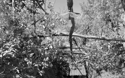 Italy - Piano di Sorrento - The authentic food & wine of Sorrento Peninsula and Lattari Mountains , Italy! 🍝 🍷 - 3