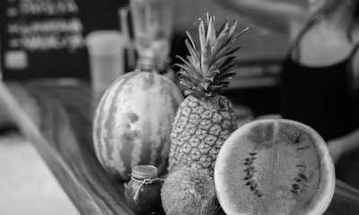 Costa Rica - Tamarindo - Majestic Adventures in Costa Rica: Beaches, Volcanoes, Hot Springs, Cloud Forest, and Pura Vida Lifestyle! - 13