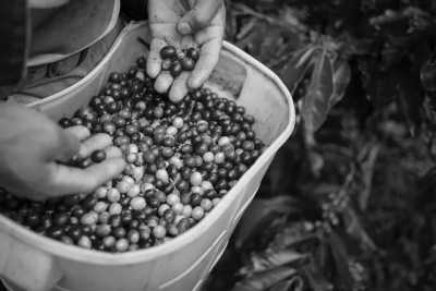 Kolumbien - Minca - Discover the Colombian Heart: Language, Food, Culture and Fun - 2