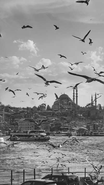Turkey - Bosphorus Cruise Tours Istanbul - Istanbul in 48 Hours: A Weekend Exploration - 2