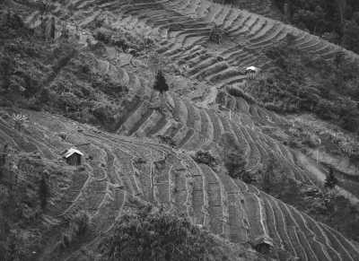 Vietnam - Hà Giang - Active Adventure in North Vietnam (motorbike, hike, and cycle) - 3