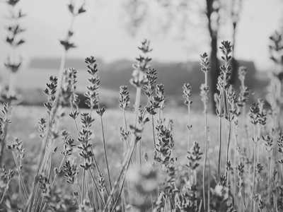 Europa - Aix-en-Provence - ONLY GIRLS VANILFE TRIP in SOUTH of FRANCE: Visiting Cities, Art, Culture, Exploring Landscapes & Wild Horses - 4