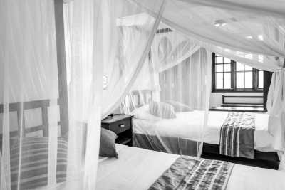 Tanzania - Kilimanjaro International Airport - Tanzania Wilderness – Unique Experience – ALL INCLUSIVE - 2