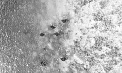 Indonesien - Komodo Island - Trip to Komodo Island: Pink beaches, Snorkeling, Staying in a Traditional Village in Indonesia and more - 9