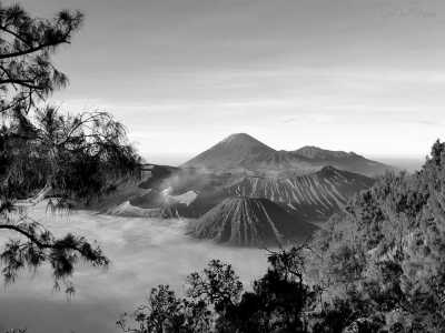 Indonesia - BROMO MOUNTAIN - Exploring Indonesia:  Bromo mountain, Surabaya, Madura and Malang Cities - 2