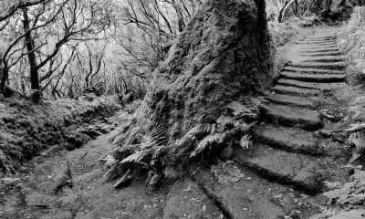 Spanien - Anaga - Yoga and Breakwork Workation in Colonial Spanish Villa in  Tenerife for 9 Days: Unlock Ultimate Relaxation