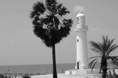 Sri Lanka - Mannar - Four Corners of Sri Lanka and Enjoy the Culture: The People of Sri Lanka and its Beauty - 1