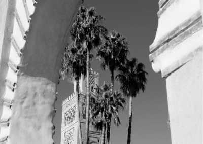 Morocco - Marrakesh - The ultimate Morocco Adventure: Trekking, Yoga, and Surfing Plus Marrakech City Trip - 5